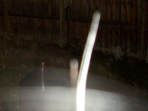 new pics 003