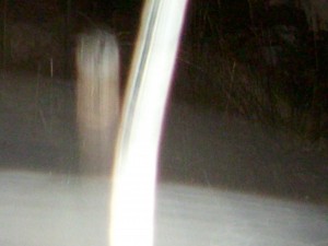 new pics 004