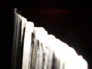 fence 003